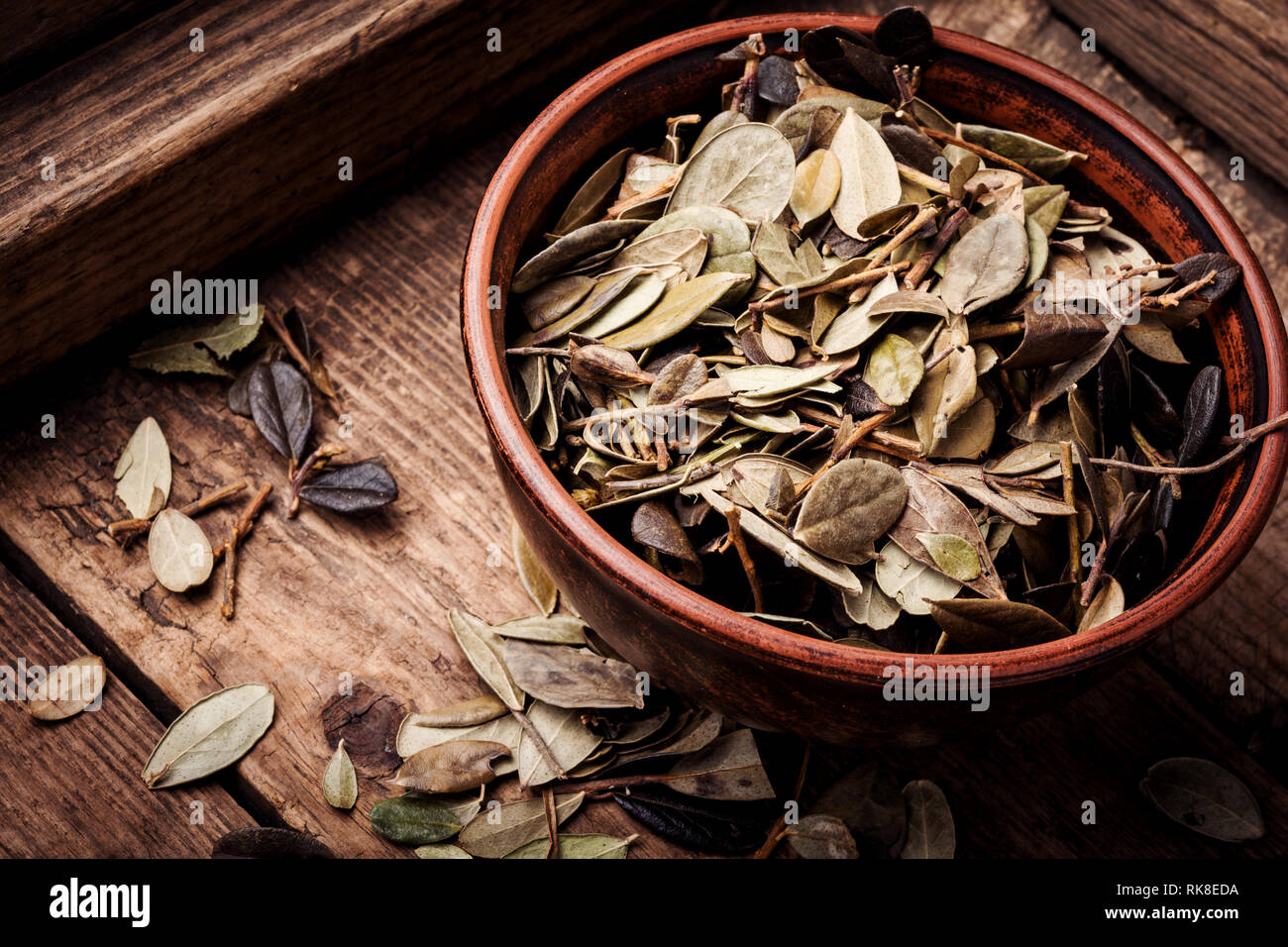 Getrocknete Preiselbeeren Blätter in der traditionellen Medizin. Die getrockneten Heilpflanze Stockfoto