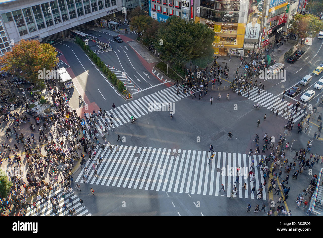 Erhöhte Ansicht einer Krähte der Fußgänger ein 4 Wege Zebrastreifen im Zentrum von Tokio, Japan Stockfoto