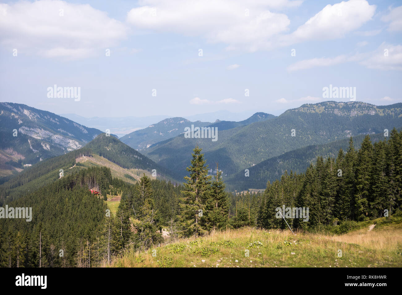 Blick vom Mount Chopok an einem Sommertag, Ski- und Wandergebiet Jasna, Niedrige Tatra, Slowakei Stockfoto