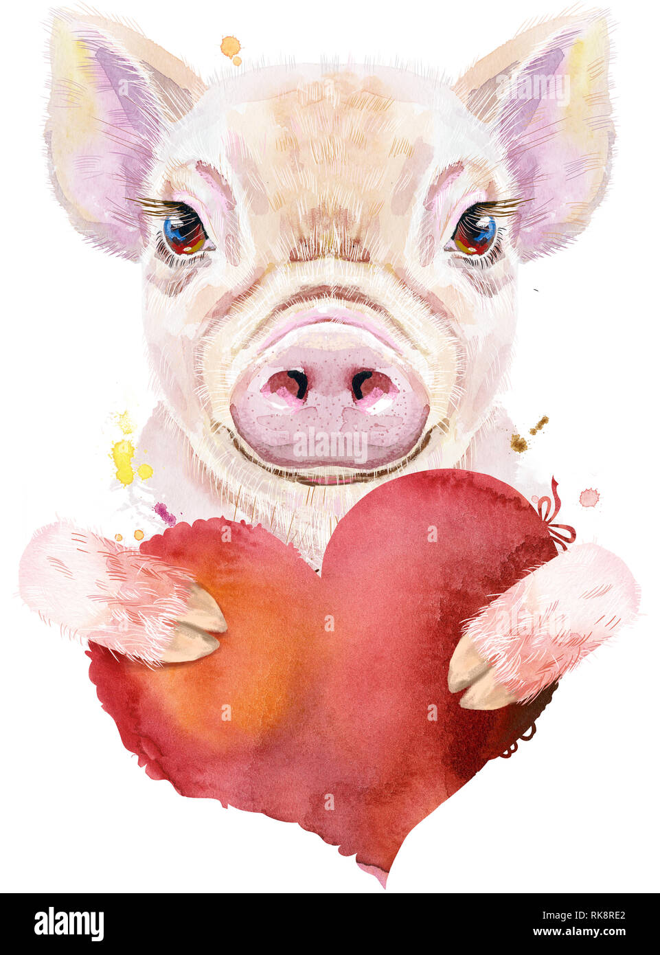 Aquarell Portrait von mini Schwein mit roten Herzen Stockfoto