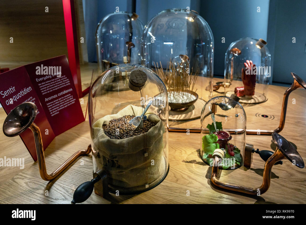 La Cité du Vin, der Stadt Wein, Wein House Museum, Bordeaux, Aquitaine, Frankreich Stockfoto