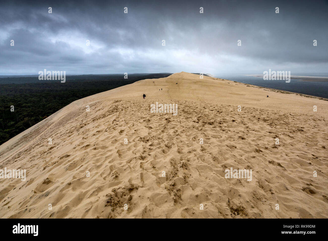 Die Düne von Pilat Die höchste Sanddüne Europas in La Teste-de-Buch in der Bucht von Arcachon, Frankreich, 60 km von Bordeaux entfernt Stockfoto