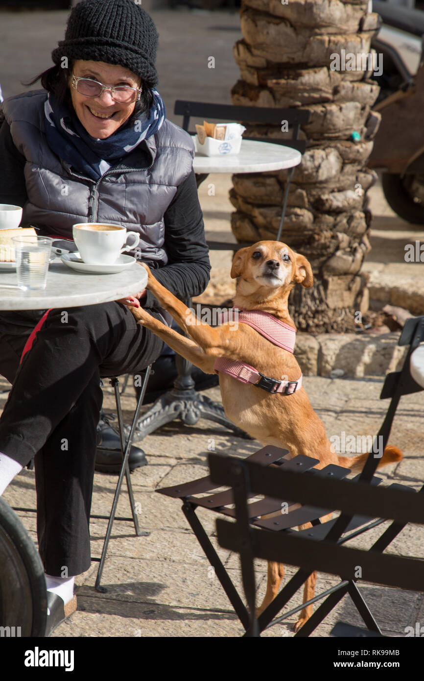 Alte Frau mit Hund in Jaffa, Tel Aviv, Israel Stockfoto