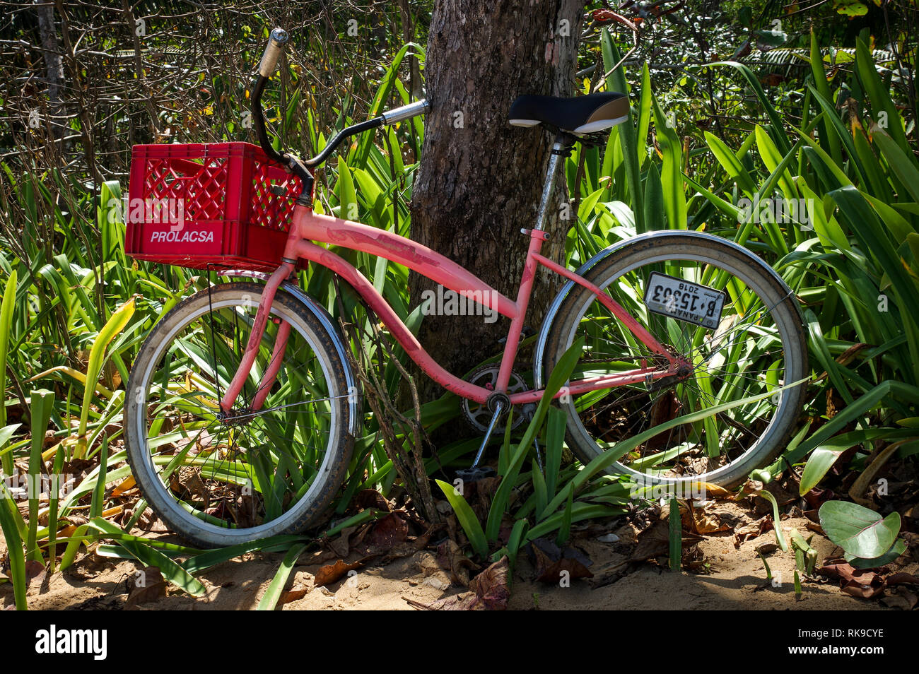 Fahrrad auf Playa Bluff auf Doppelpunkt Insel geparkt in Archipel Bocas del  Toro, Panama Stockfotografie - Alamy