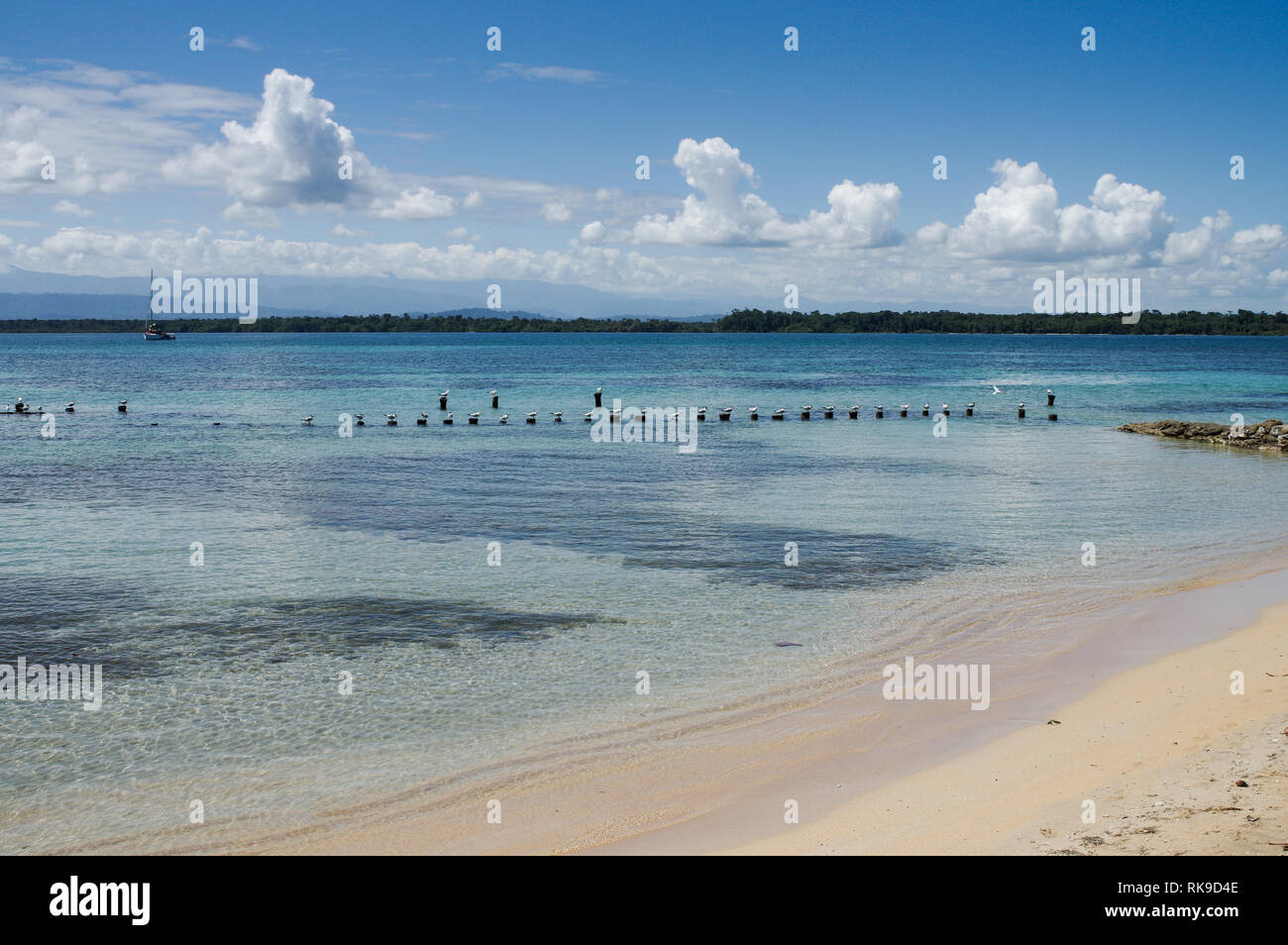 Wunderschöne Küste rund um Playa Boca Del Drago auf Isla Colon-Archipel Bocas del Toro, Panama Stockfoto