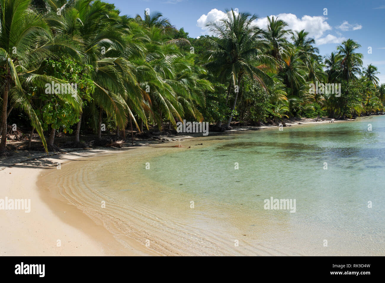 Wunderschöne Küste rund um Playa Boca Del Drago auf Isla Colon-Archipel Bocas del Toro, Panama Stockfoto