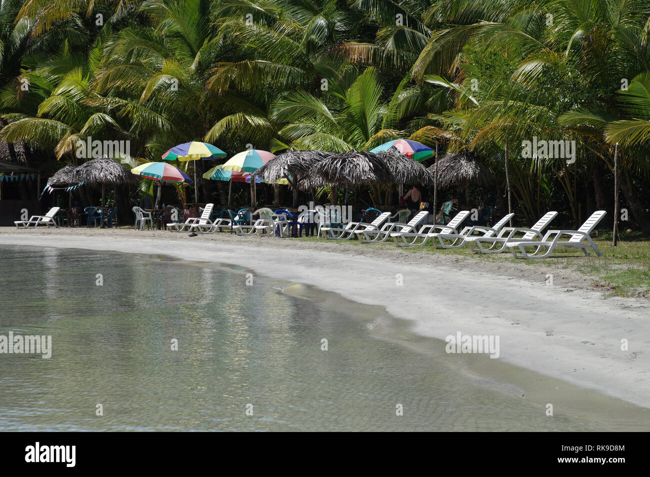 Starfish Strand auf der Isla Colon-Archipel Bocas del Toro, Panama Stockfoto