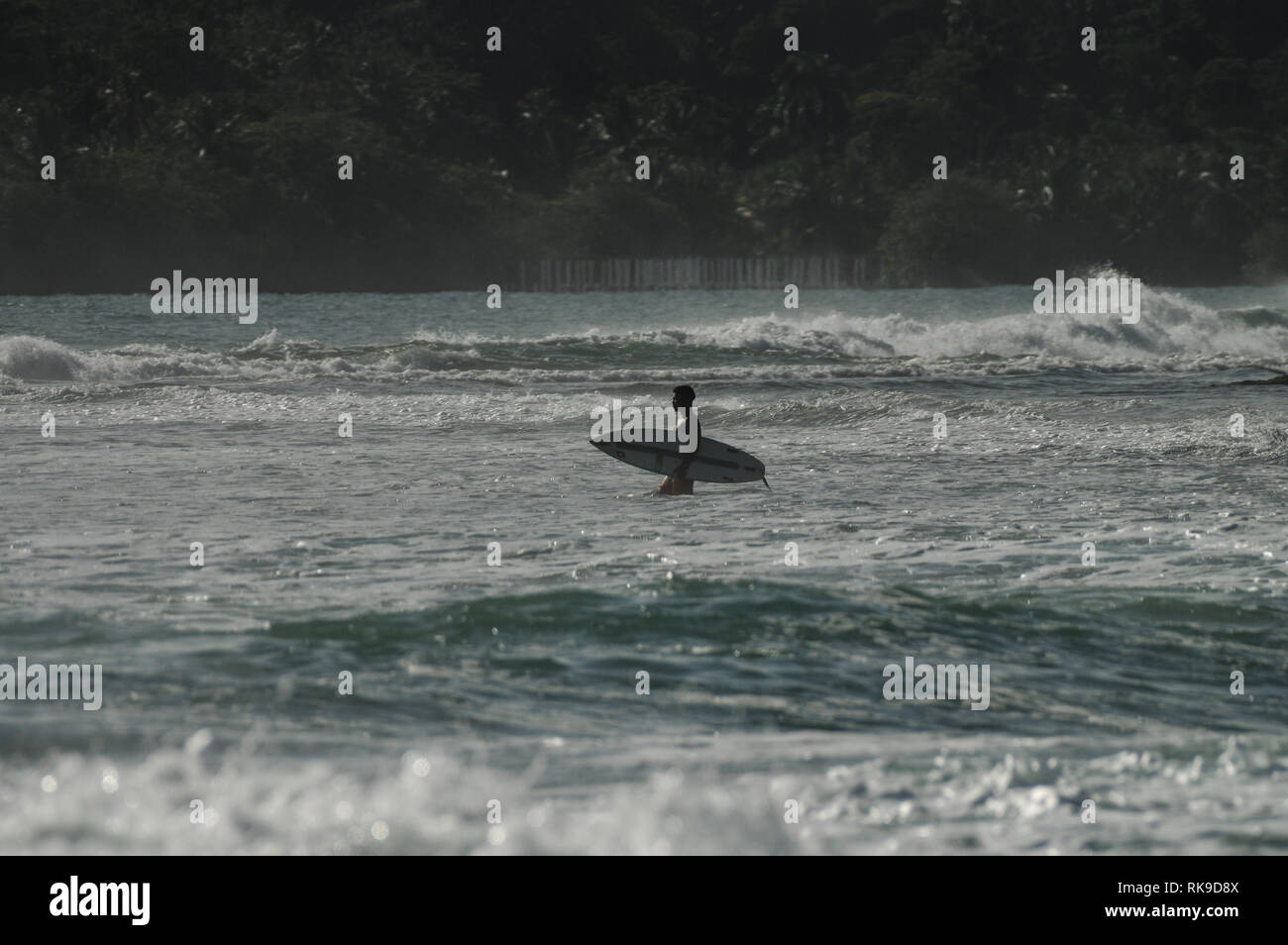 Surfer im Meer mit dem Surfbrett unter dem Arm - Bocas del Toro, Panama Stockfoto