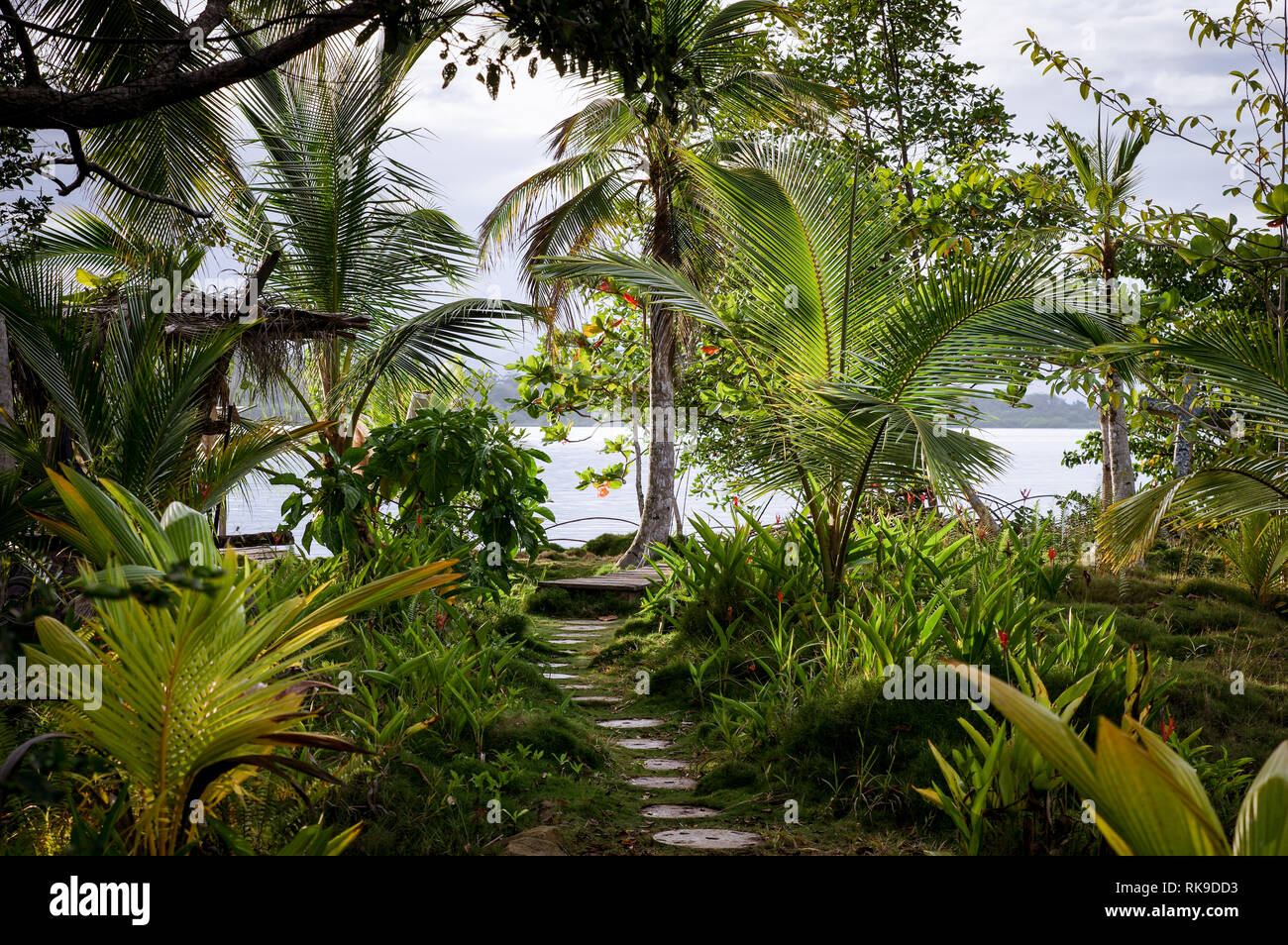 Pfad durch einen wunderschönen tropischen Garten auf San Cristobal Insel - Archipel Bocas del Toro, Panama Stockfoto