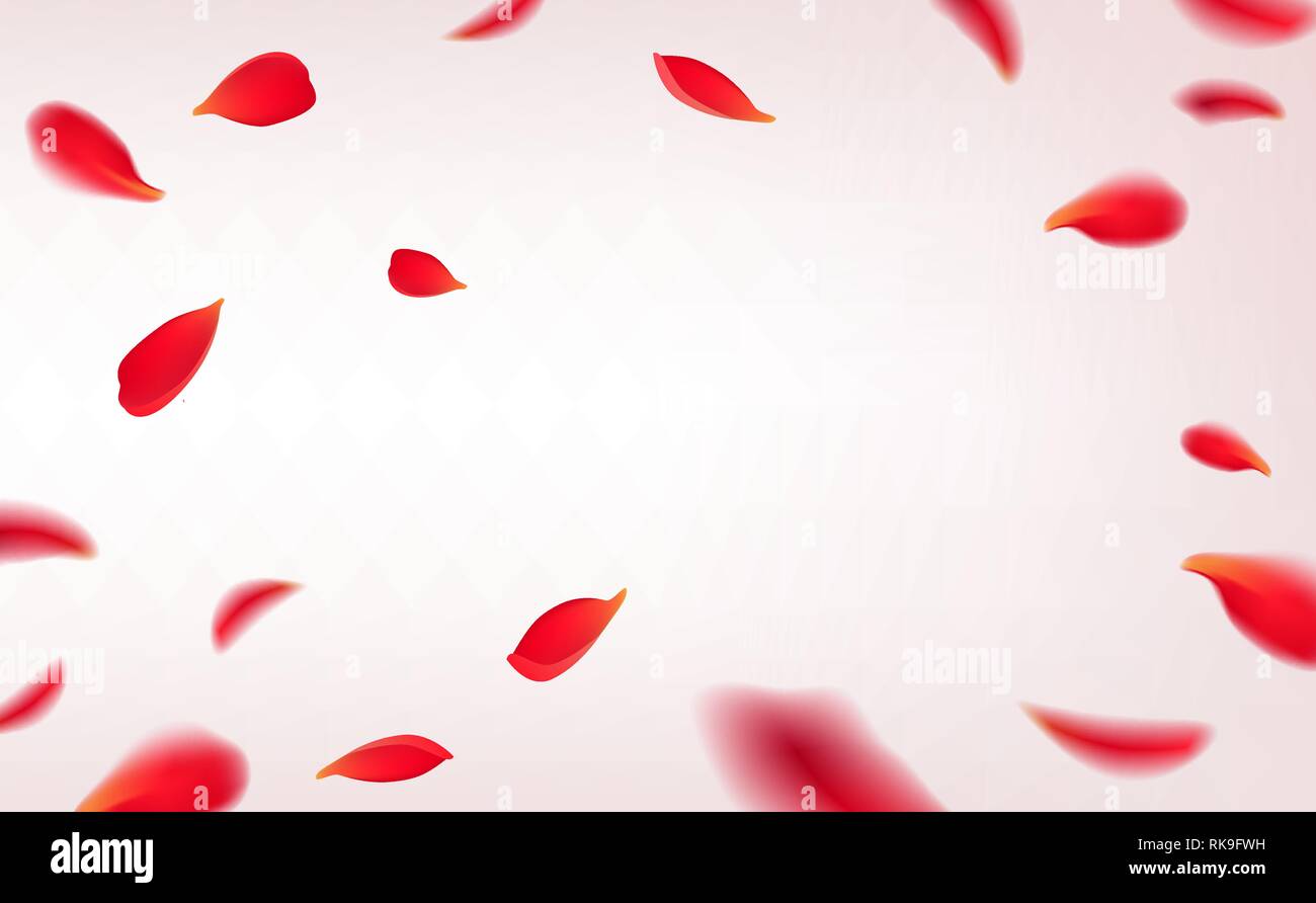Der Rote Rosenblätter auf weißem Hintergrund. Vector Illustration mit Schönheit Rosen Blütenblätter Rahmen, für die Gestaltung von Grußkarten auf Stock Vektor