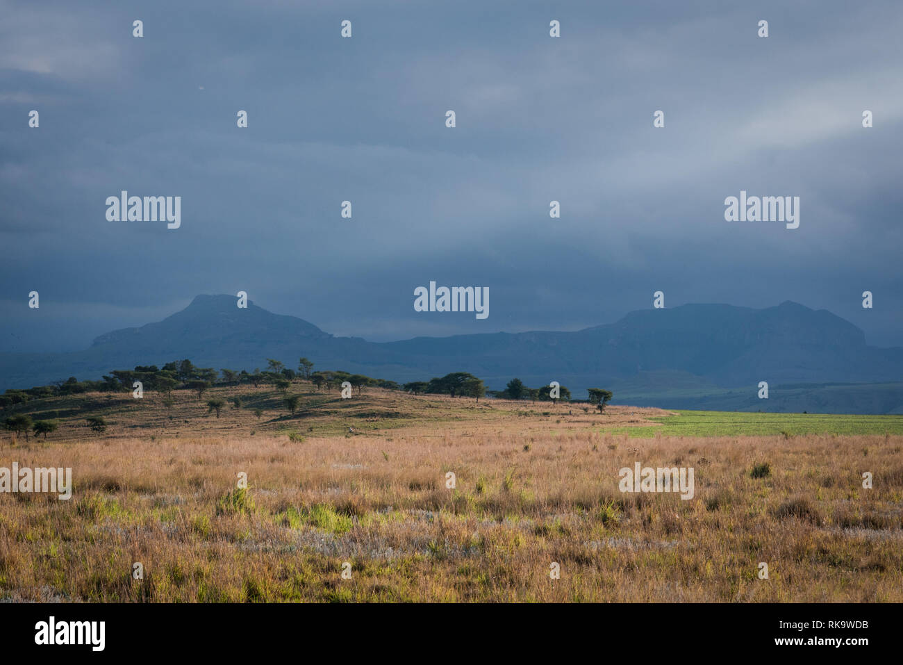 Eine grasbedeckte Ebene und dunstige Berge in der Ferne, bis in den späten Abend Sonne beleuchtet. Drakensberge, Südafrika Stockfoto