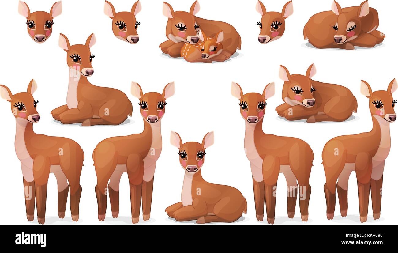 Vektor cartoon Animal clipart: weiblich Red Deer eingestellt Stock Vektor