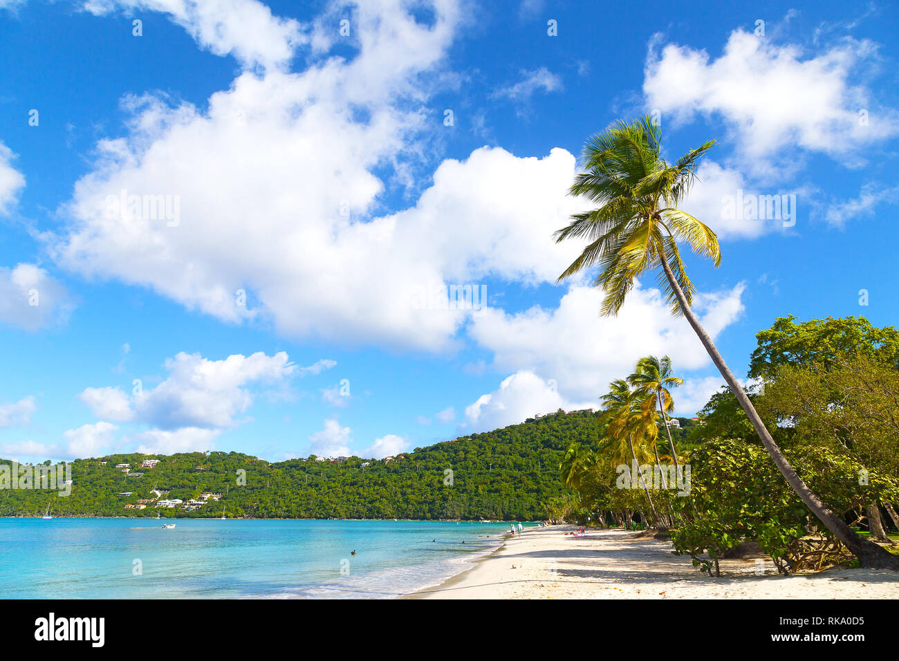 Schöne Magens Bay Beach auf der Insel St. Thomas, US VI. Einen malerischen Blick auf den Strand mit Palmen, Pelikane und Wellen. Stockfoto