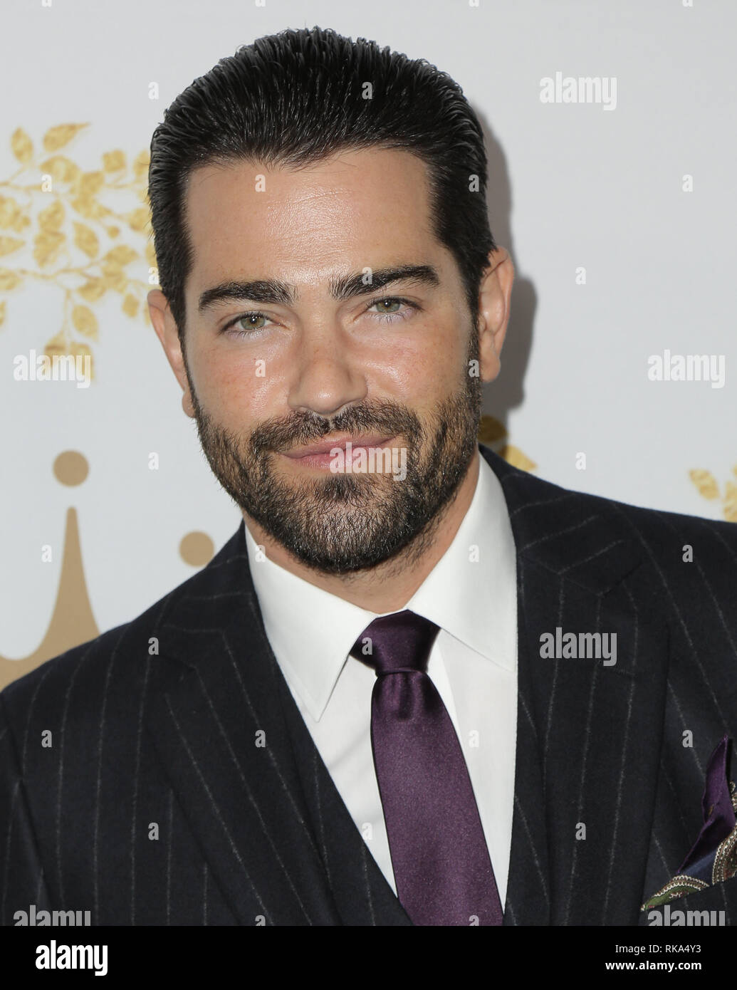 Kalifornien, USA. 9. Feb 2019. Jesse Metcalfe. 2019 Winter TCA Tour - Hallmark Channel und Markenzeichen Filme und Geheimnisse am Turnier Haus abgehalten. Foto: PMA/AdMedia Credit: Pma/AdMedia/ZUMA Draht/Alamy leben Nachrichten Stockfoto