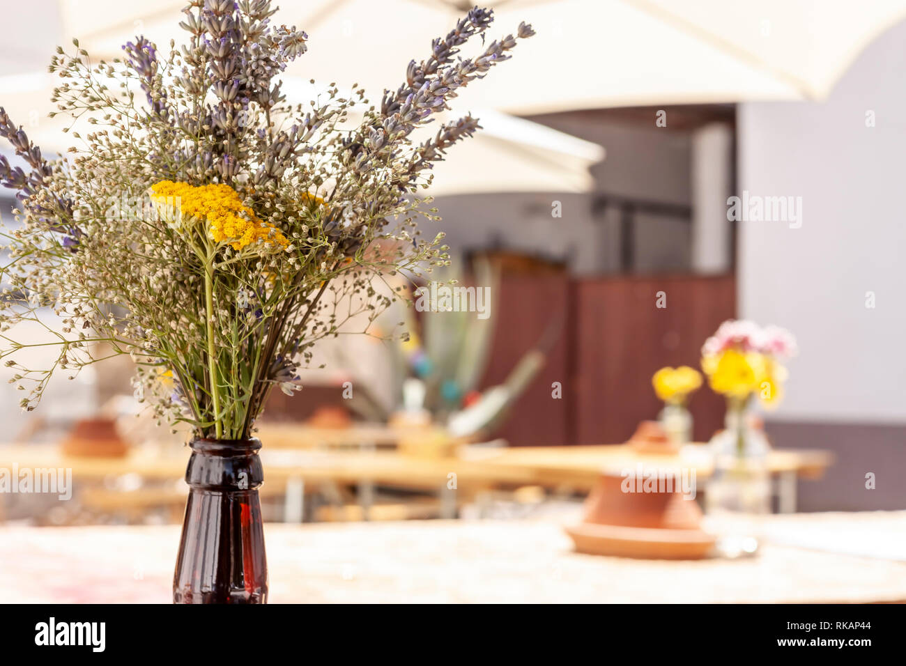 Closeup Bouquet von Spring wildflowers vom Feld in die Flasche Stockfoto