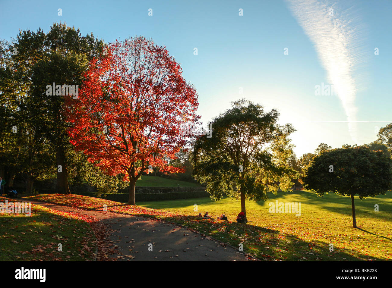 Herbst in Colchester, Großbritannien Stockfoto