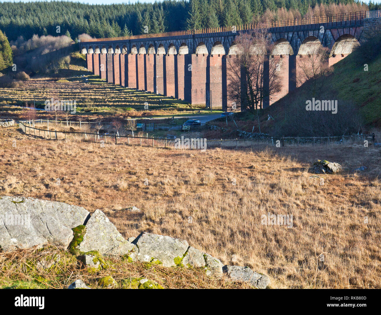 Cairnsmore der Flotte National Nature Reserve, Dumfries und Galloway, Schottland Stockfoto