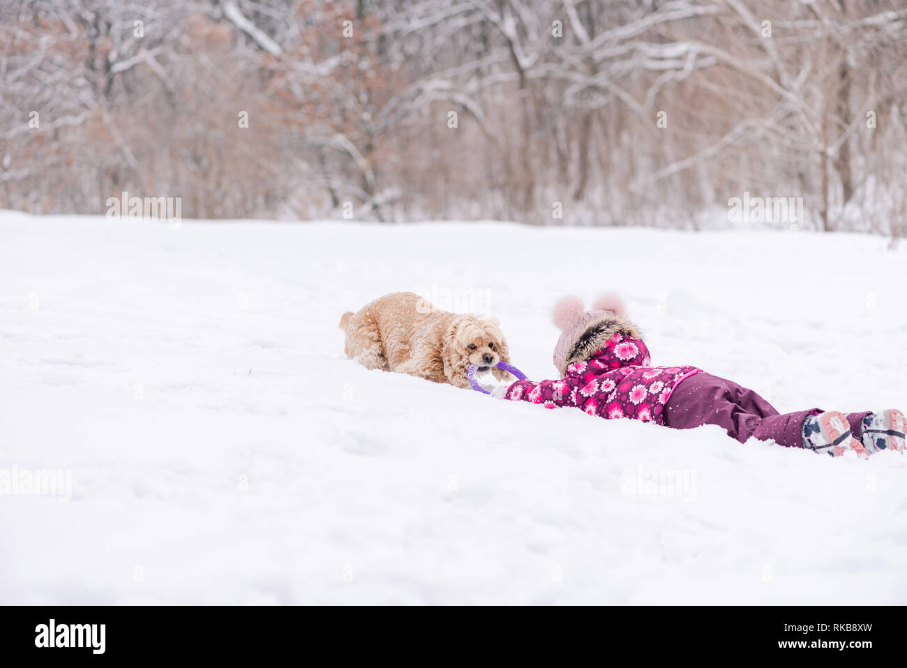 Weibliches Kind Spaß mit Cocker Spaniel im Winter Stockfoto