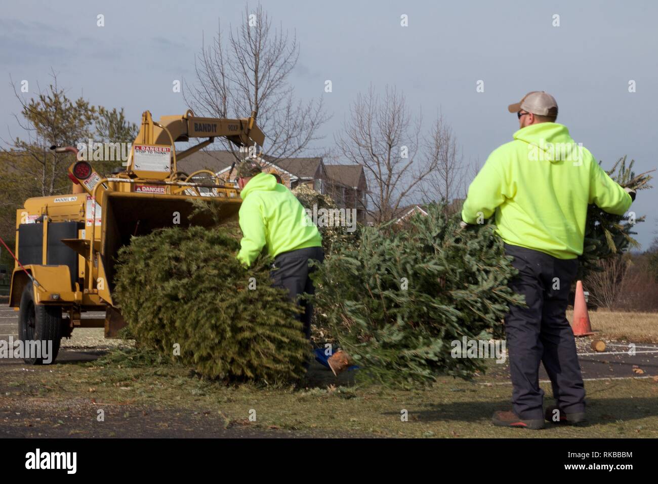 Warminster, Pennsylvania, USA - Februar 6, 2019: Nach dem Urlaub, Weihnachtsbäume sind Boden in Mulch durch einen Wald chipper durch städtische Arbeiter. Stockfoto