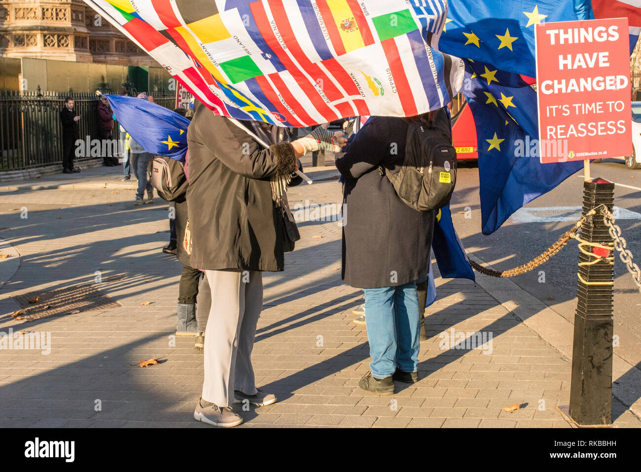 Anti-Brexit Demonstranten in Abingdon Street, gegenüber des Houses of Parliament, London, UK. Stockfoto
