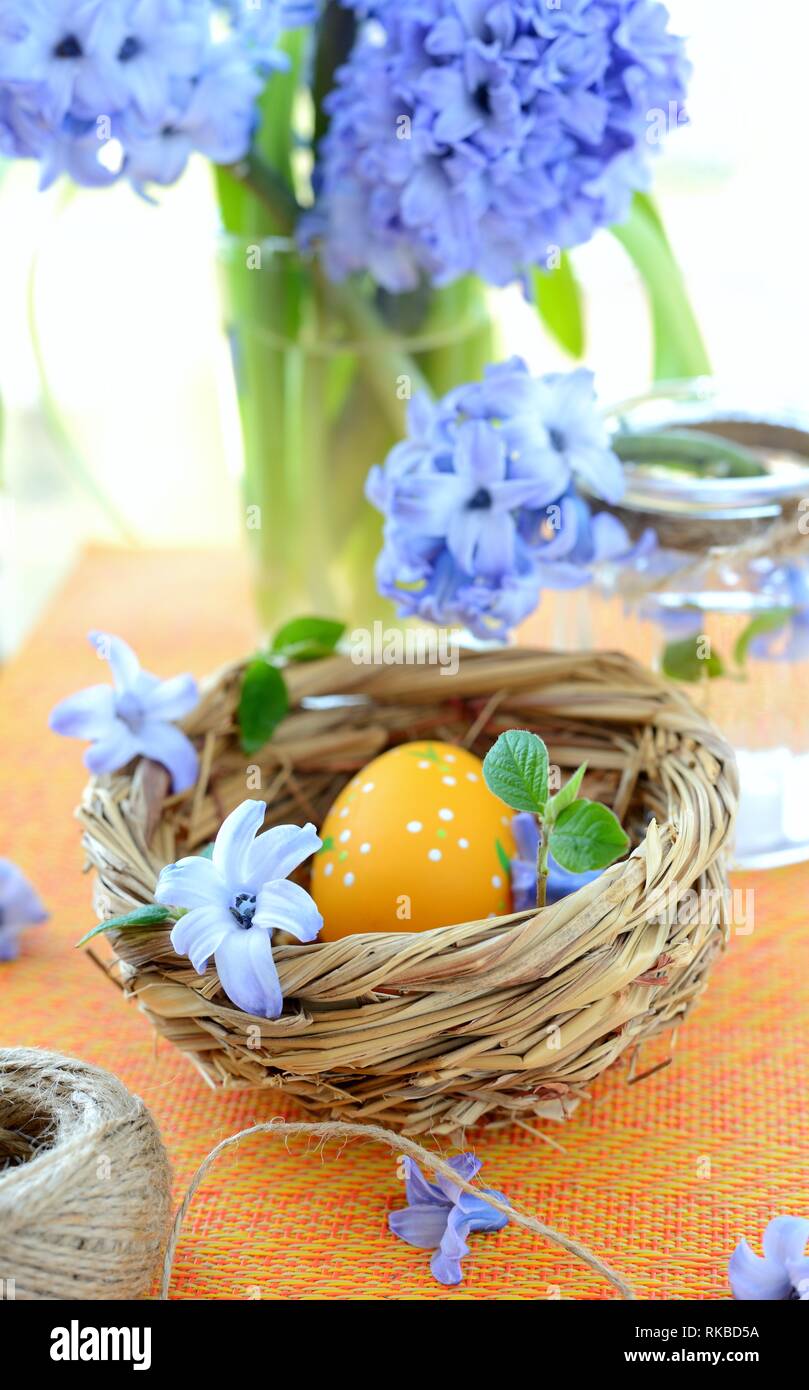 Orange Ostern Ei im Nest. Stockfoto