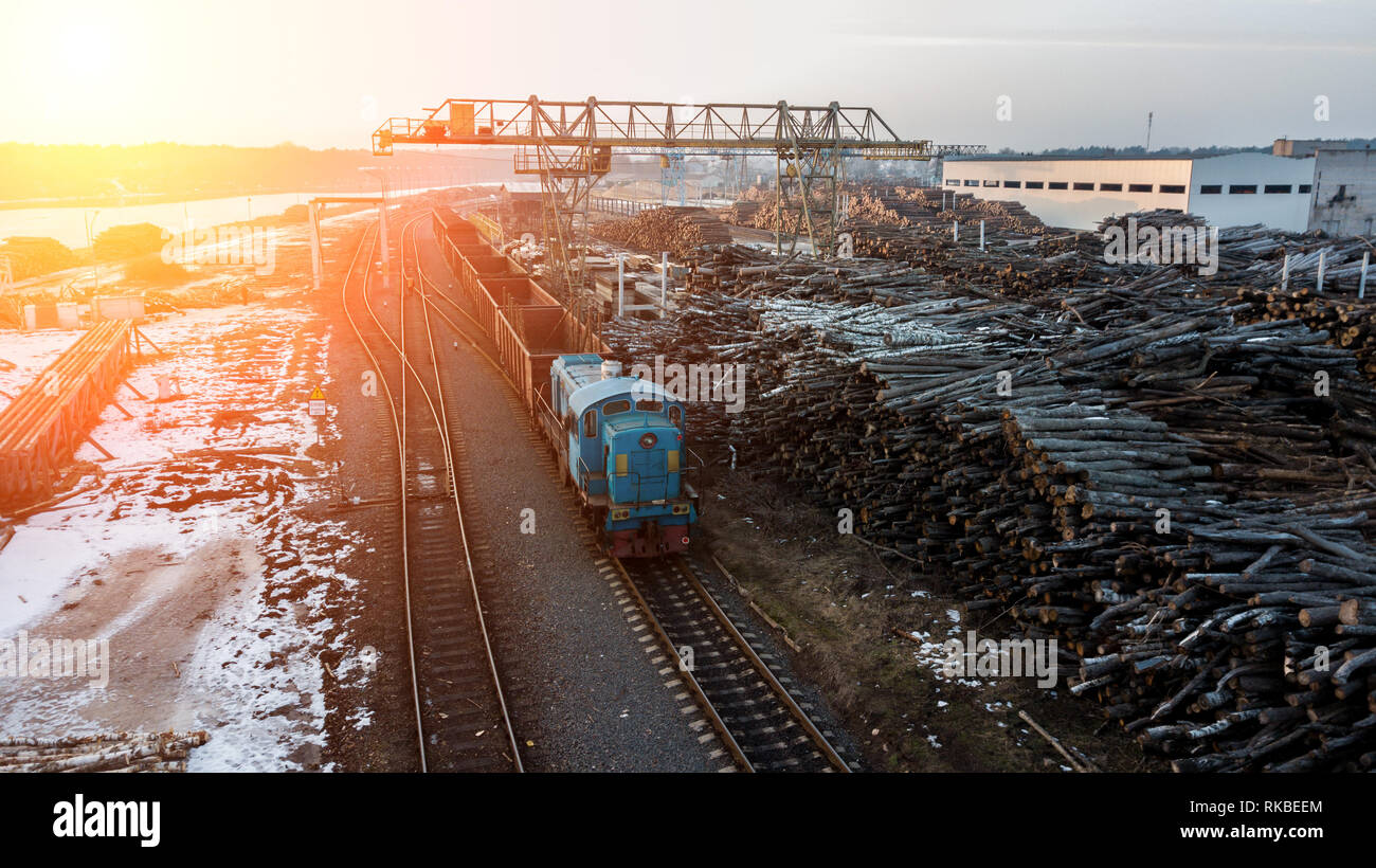 Der Zug fährt auf den Schienen in einem Holz verarbeitenden Fabrik Stockfoto