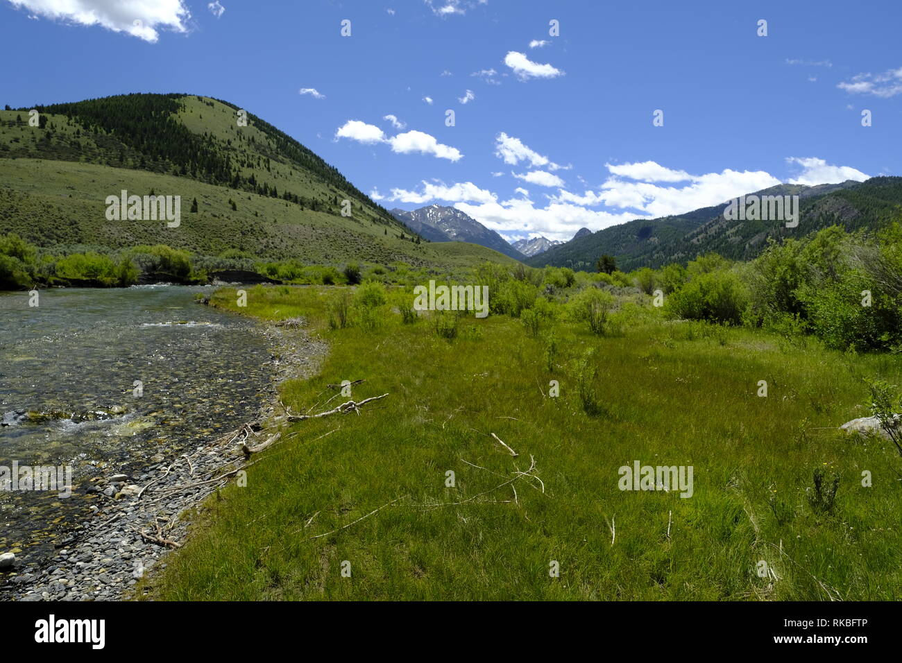 Wildhorse Creek, Idaho Stockfoto