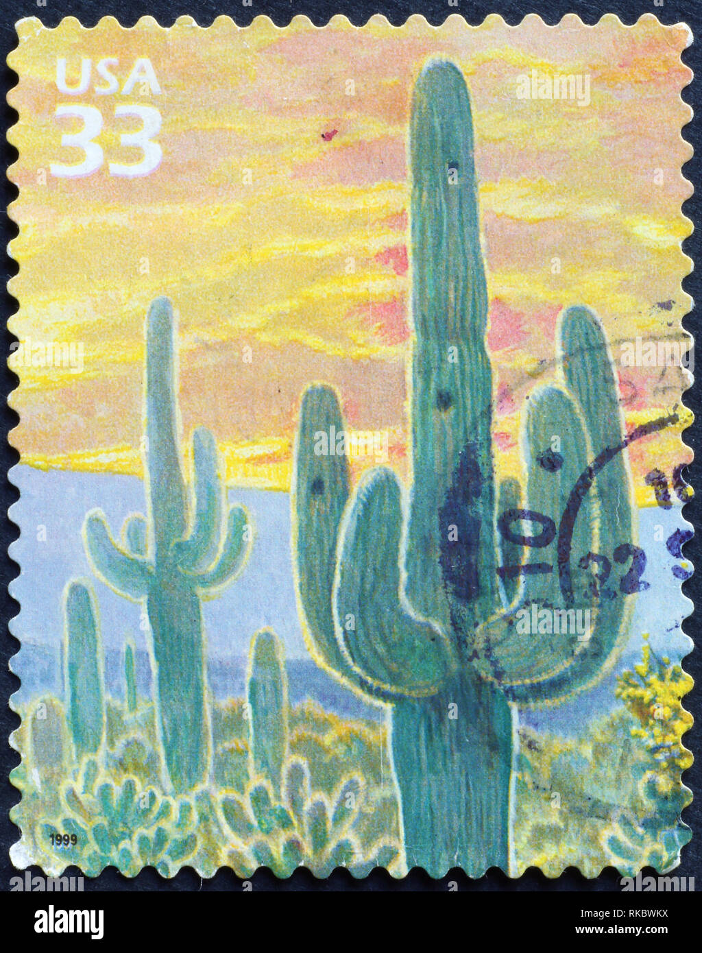 Saguaro Kakteen auf amerikanische Briefmarke Stockfoto