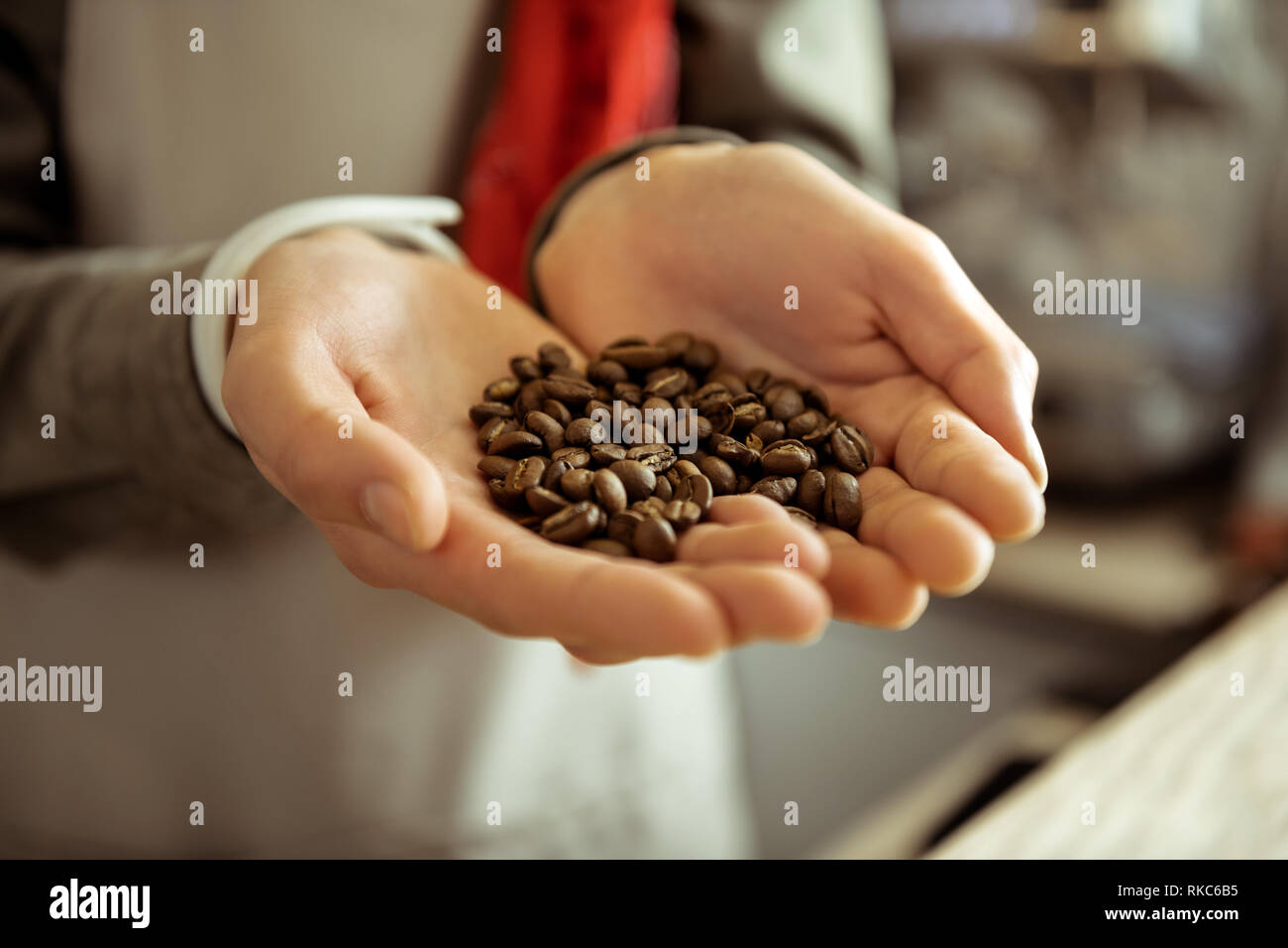 Junge barista zeigen Handvoll Kaffeebohnen auf seine genauen Palmen Stockfoto