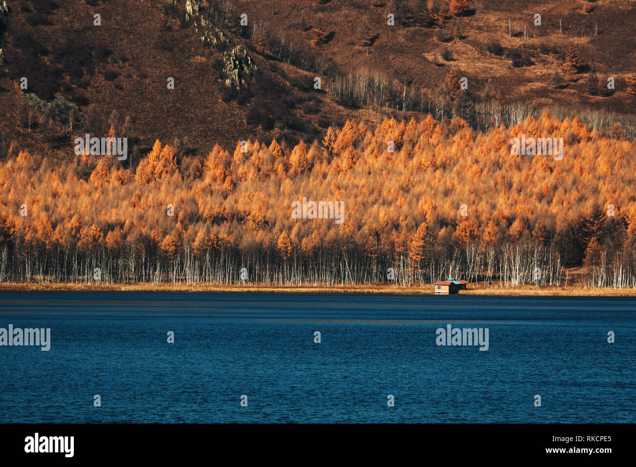 Herbst Wald Holz Gelb Orange Reflektierend auf blaues Wasser See Landschaft Natur klare Wetter schön Stockfoto