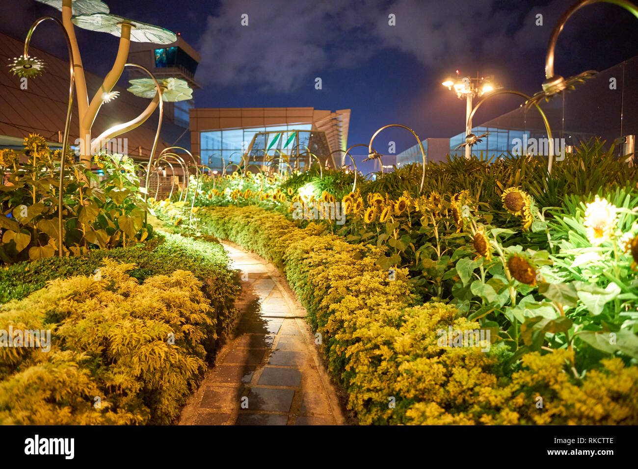 Singapur - ca. August 2016: Sonnenblume Garten am Flughafen Singapur Changi. Singapur Changi Airport ist der primäre zivilen Airport für Singapur, Stockfoto