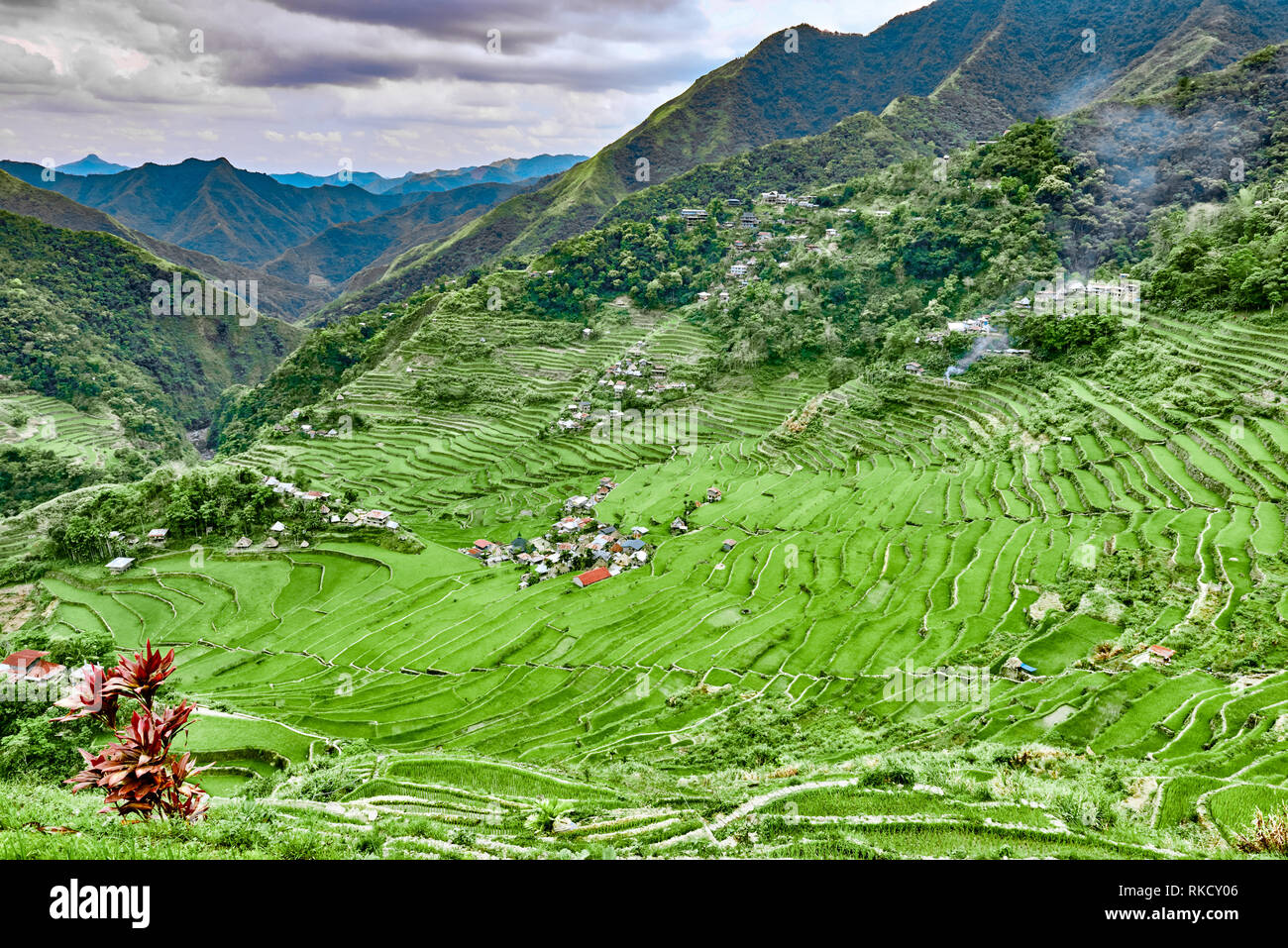 Paddy Terrasse Reisfelder zwischen Banaue und Batad Infugao Luzon auf den Philippinen Stockfoto