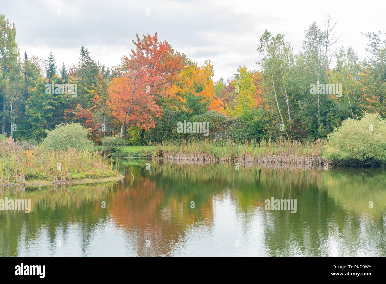 Einige ländliche Herbst Farbe Landschaft in Quebec, Kanada Stockfoto