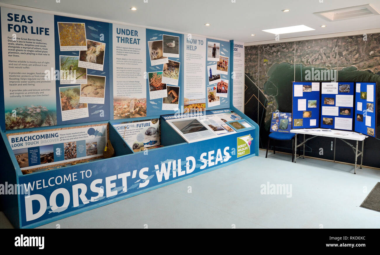 Wilden Meere Center, Visitor Center in Purbeck Marine Wildlife Reserve, Kirche Knowle, Wareham, Dorset, Großbritannien Stockfoto