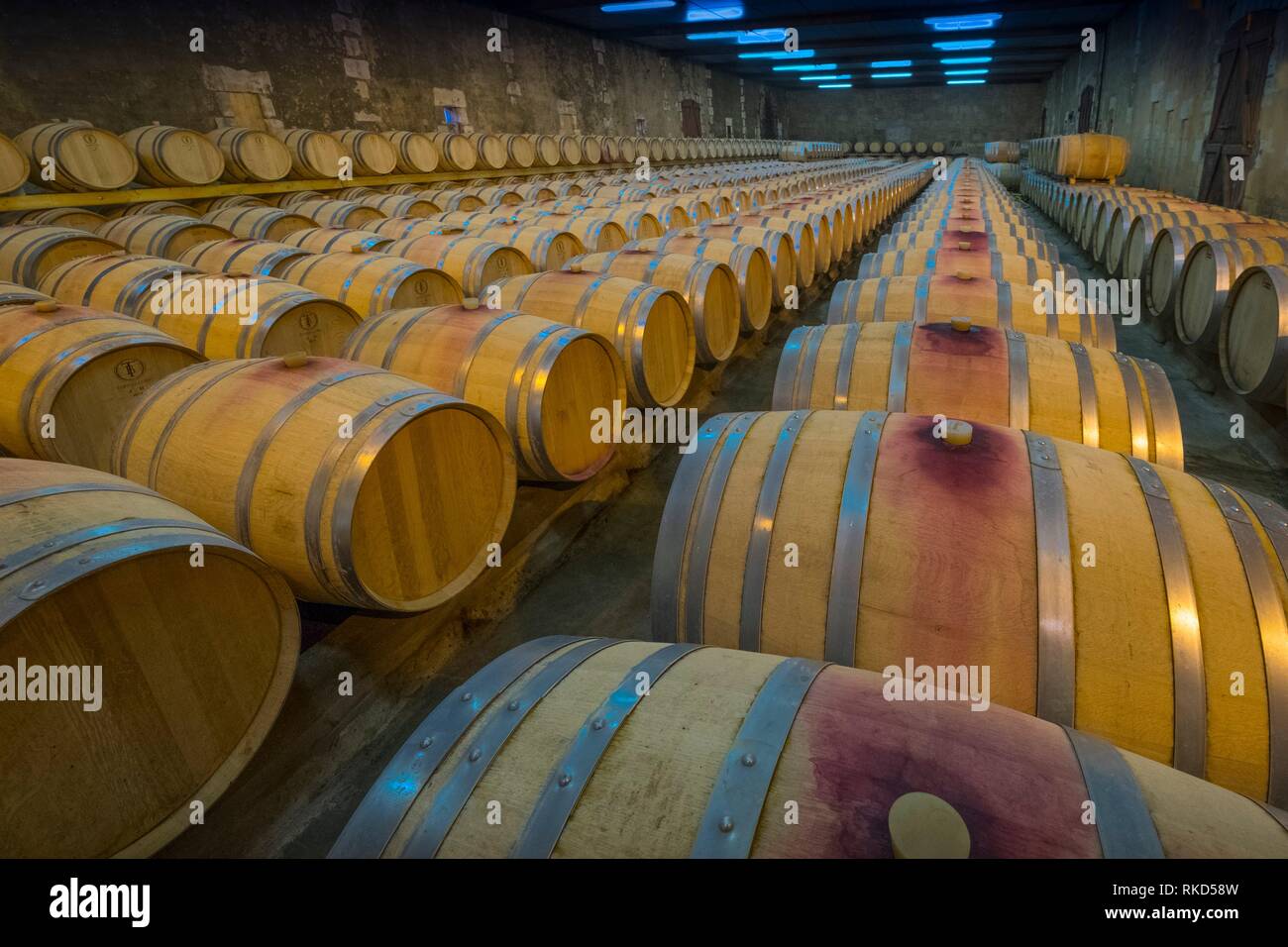 Frankreich, Nouvelle Aquitaine, Dordogne, Keller der Allianz Aquitaine, in Bergerac. Die Weine altern Weinkeller mit mehr als 450 Fässern aus französischer Eiche, voll Stockfoto