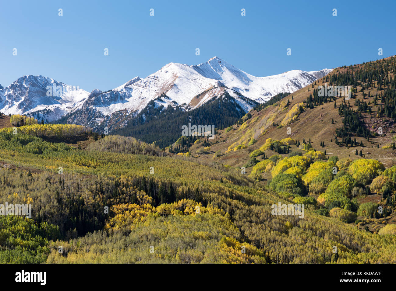 Elk Ridge Berge, die innerhalb des White River National Forest in West Central Colorado befindet. Stockfoto