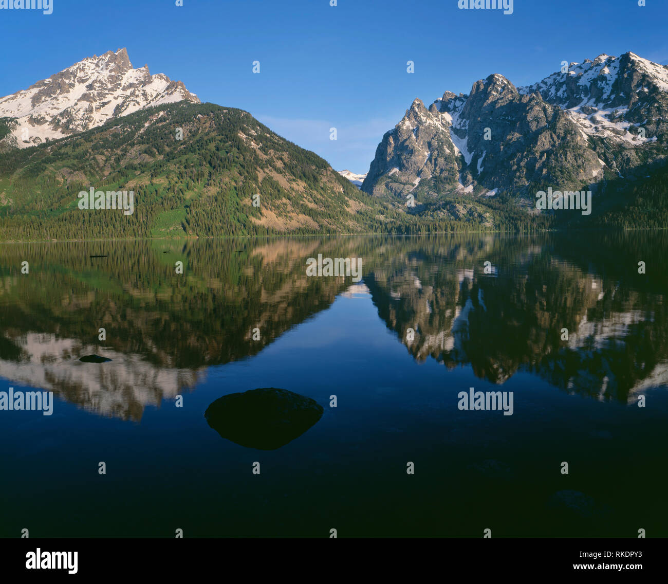 USA, Wyoming, Grand Teton National Park, Gipfel der Teton Range, Grand Teton (links) und Mount St. John (rechts), spiegeln sich in den Jenny See. Stockfoto