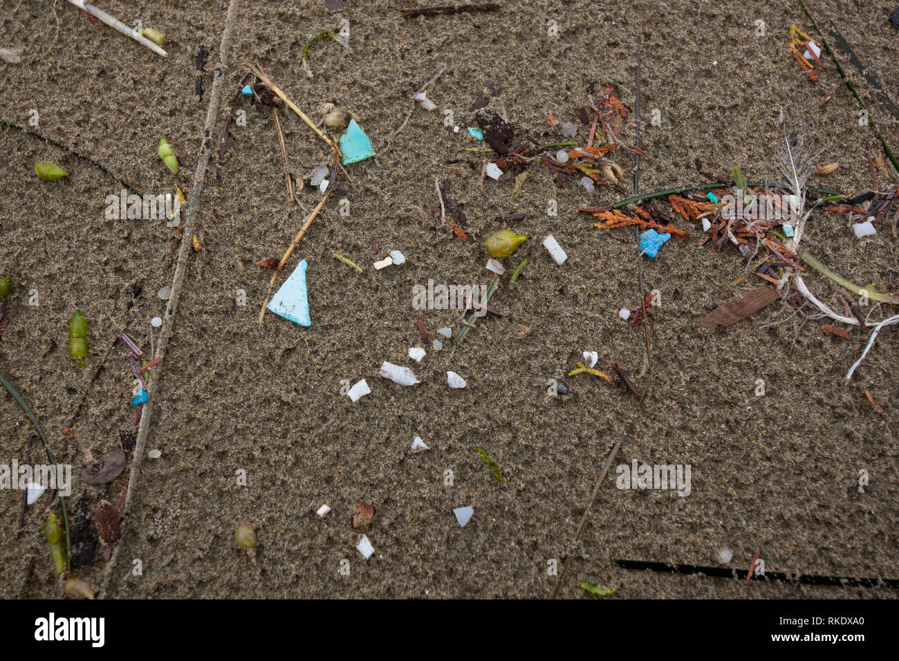 Kleine Stücke von bunten plastik Müll gefunden am Strand im Pacific Rim National Park, Vancouver Island, Kanada gewaschen Stockfoto