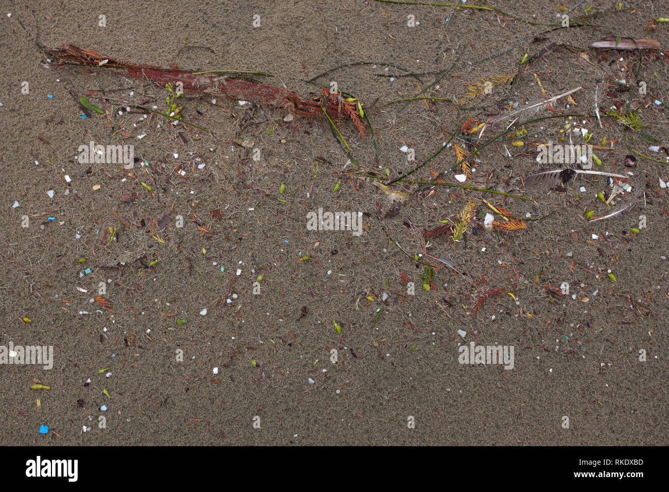 Kleine Stücke von bunten plastik Müll gefunden am Strand im Pacific Rim National Park, Vancouver Island, Kanada gewaschen Stockfoto