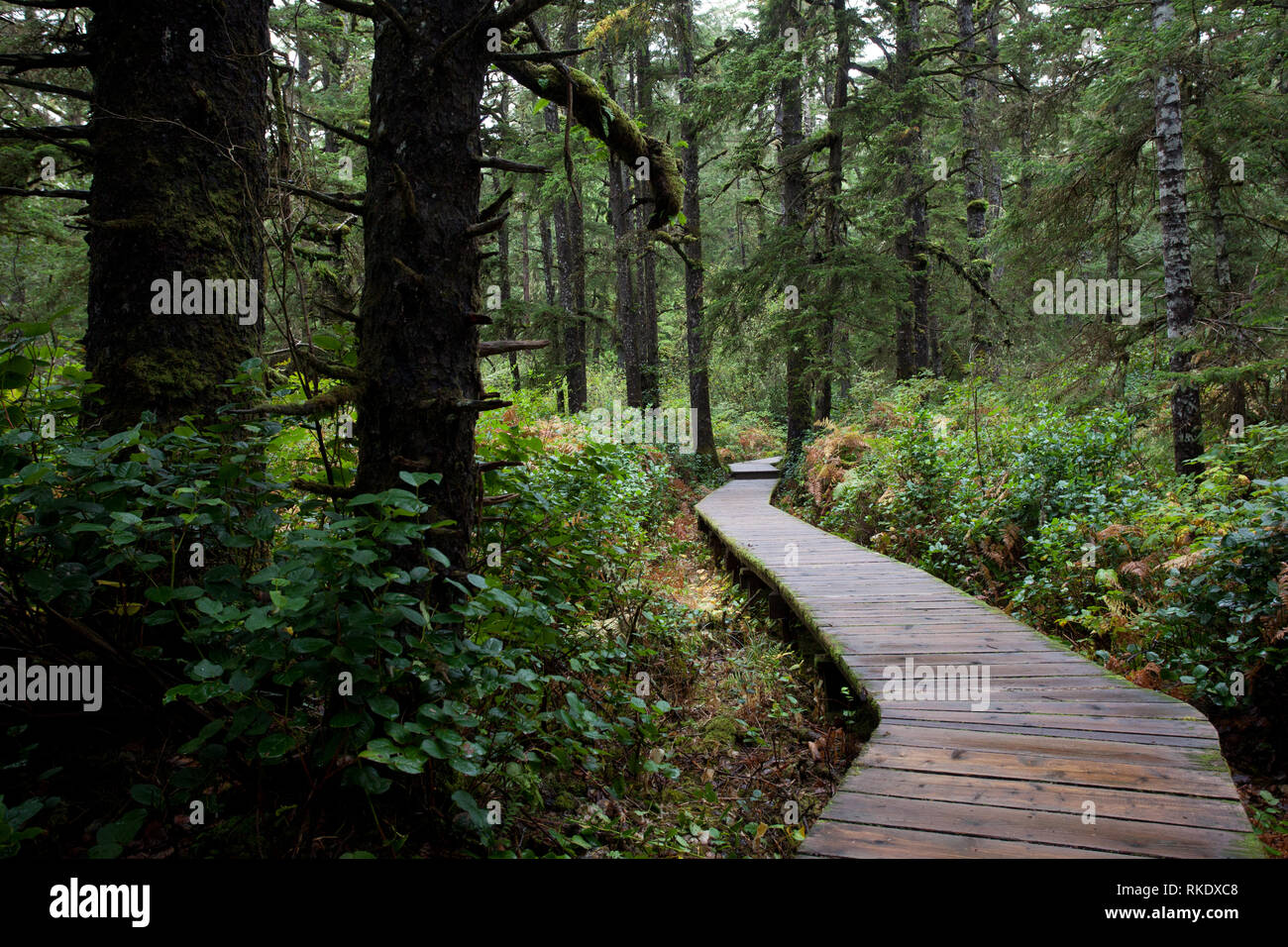 Long Beach, Vancouver Island, British Columbia, Kanada Stockfoto