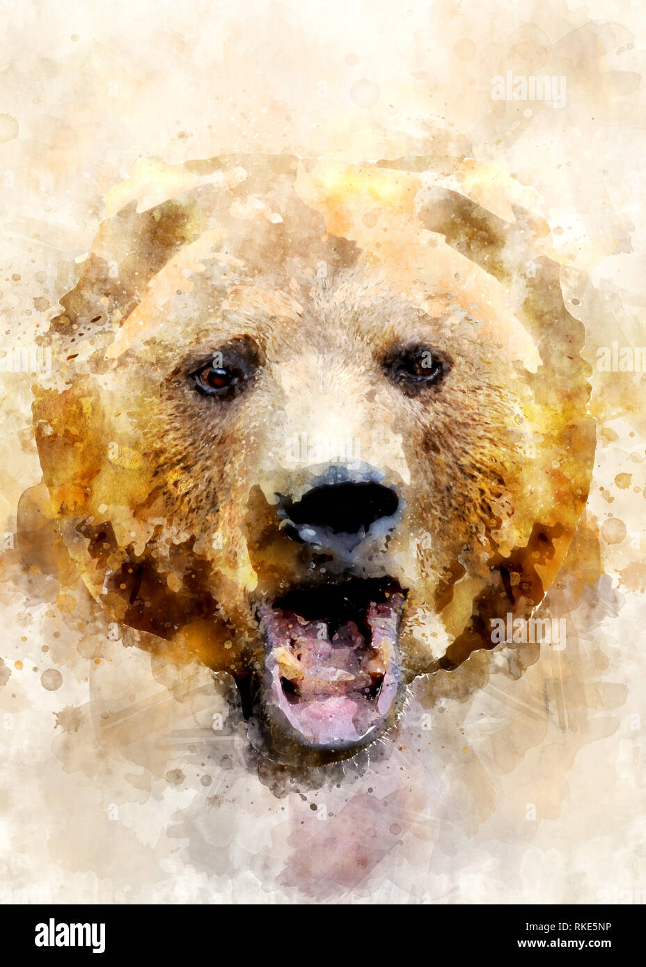 Aquarell Abbildung: Braunbär portrait. Schöne Wildlife World Stockfoto