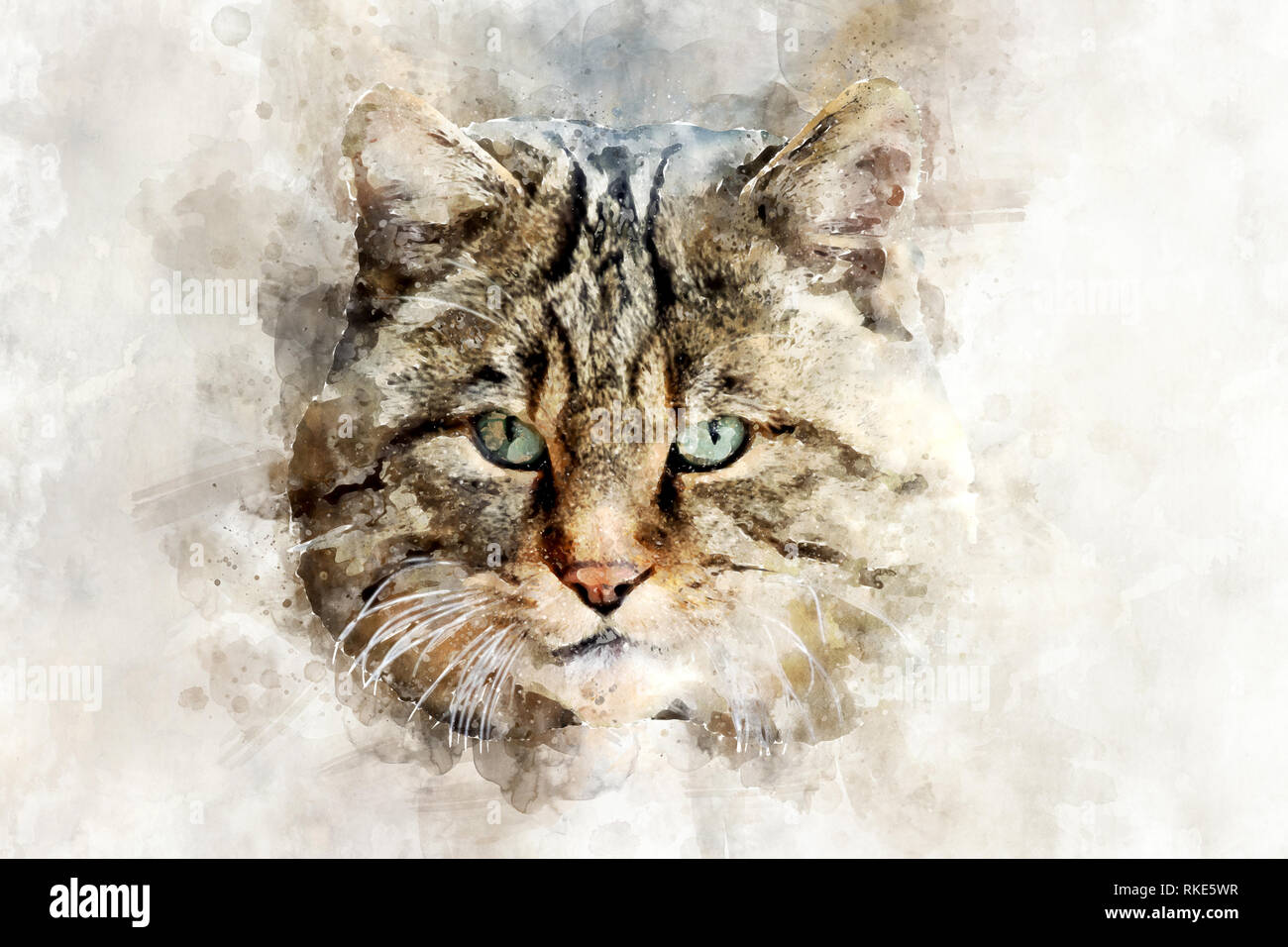 Watercolor illustration Katze portrait. Schöne Wildlife World