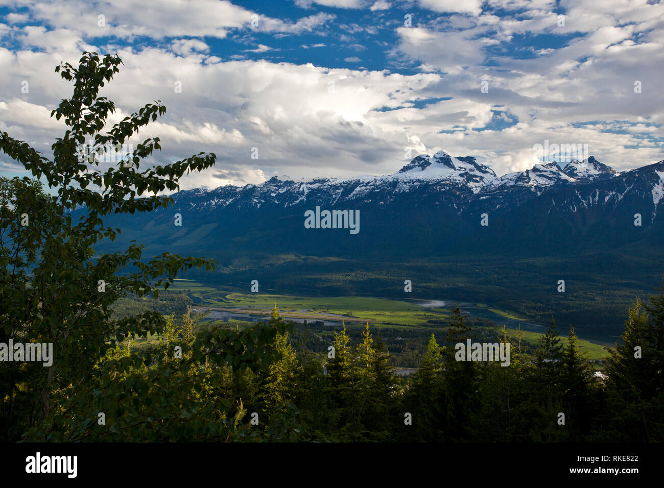Mount Revelstoke National Park, Rocky Mountains, British Columbia, Kanada Stockfoto