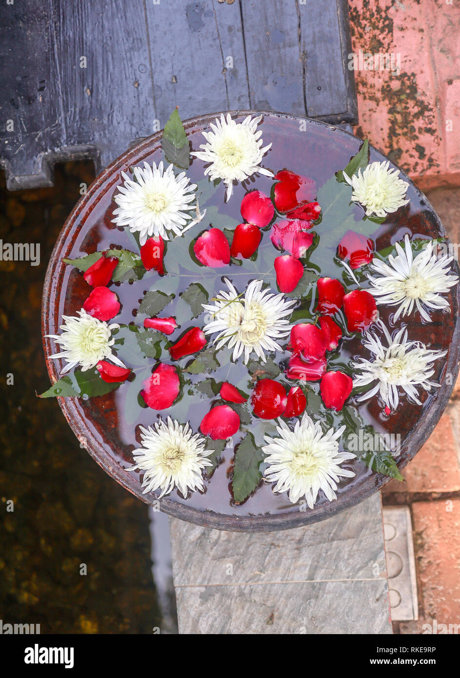Dekorative Blumen in einer Vase im Zen Stil Stockfoto