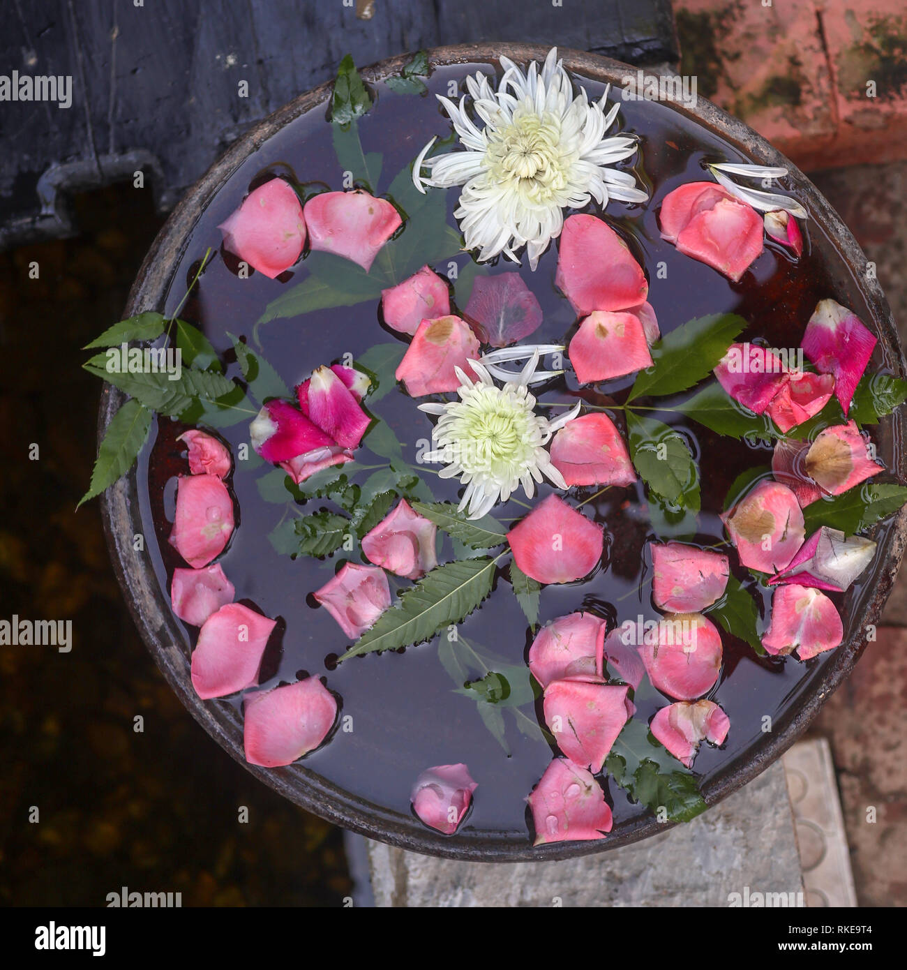 Dekorative Blumen in einer Vase im Zen Stil Stockfoto
