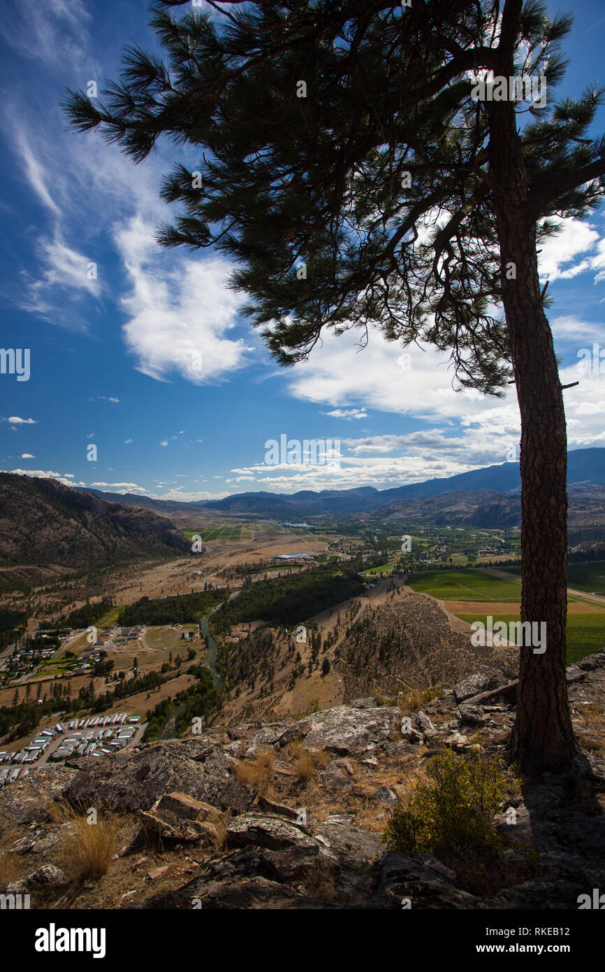 Oliver, Okanagan, British Columbia, Kanada Stockfoto
