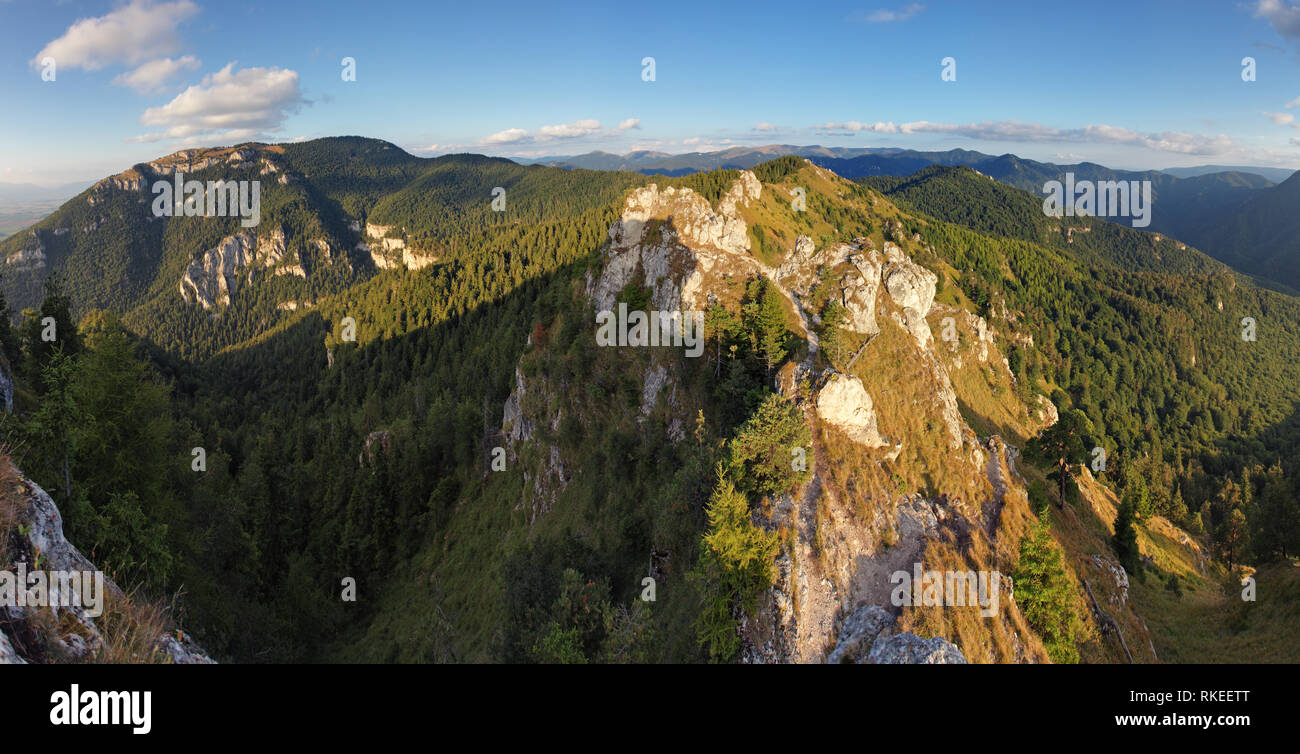 Grünen Wald in Bergpanorama Stockfoto