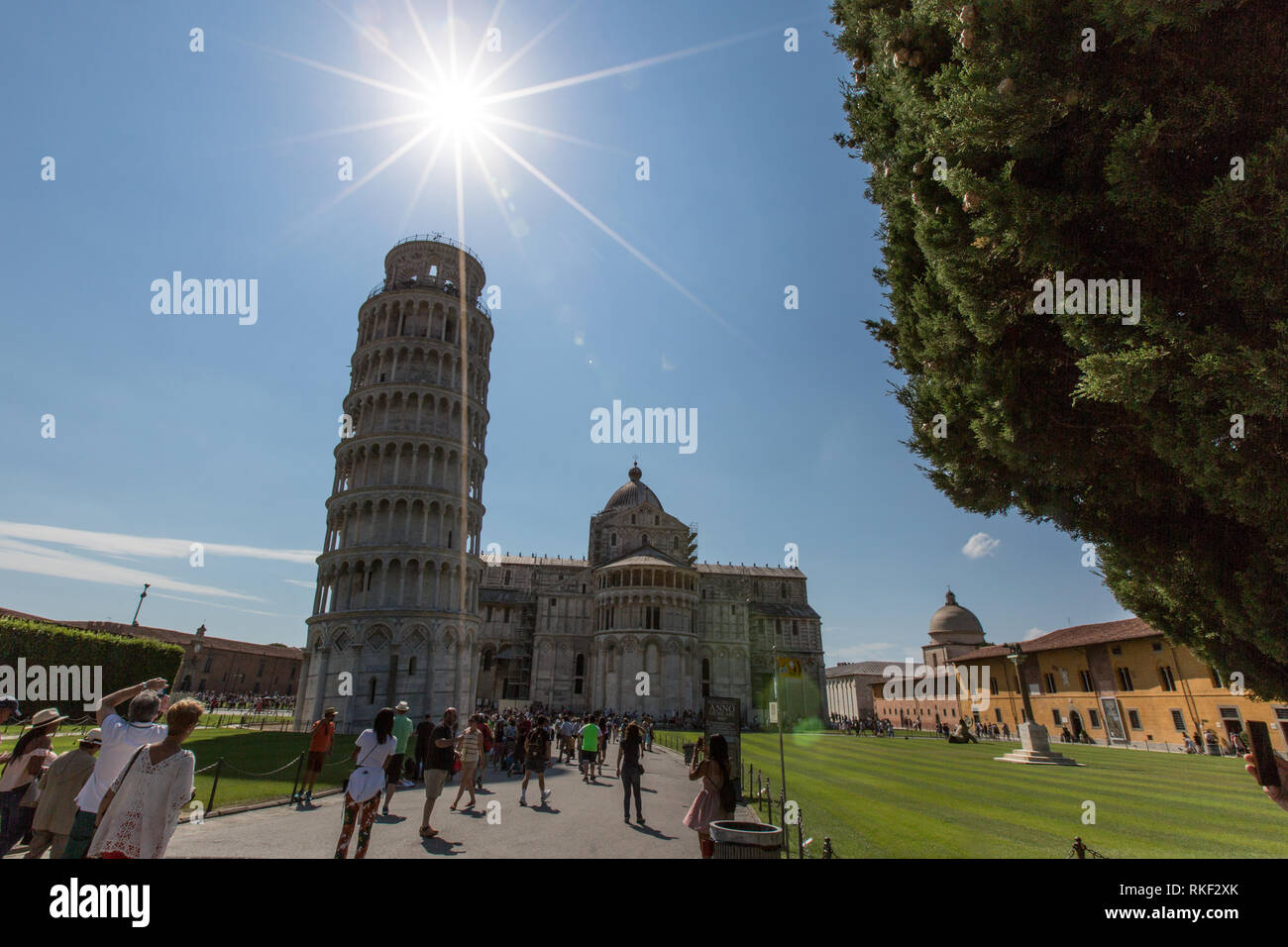 Der schiefe Turm von Pisa ist weltweit bekannt für seine unbeabsichtigte Kippen auf der einen Seite in der Toskana, Italien. Stockfoto