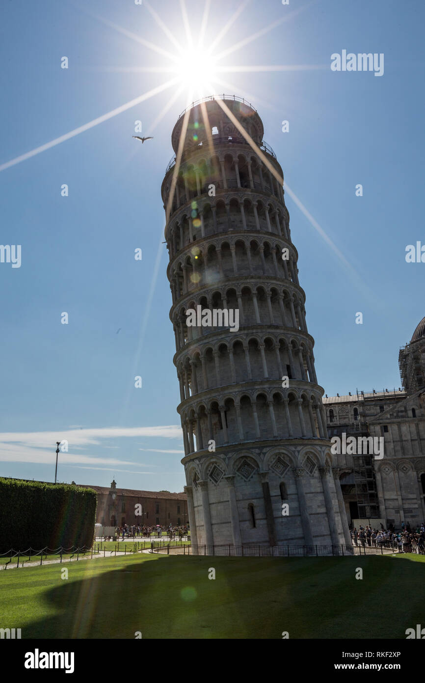 Der schiefe Turm von Pisa ist weltweit bekannt für seine unbeabsichtigte Kippen auf der einen Seite in der Toskana, Italien. Stockfoto