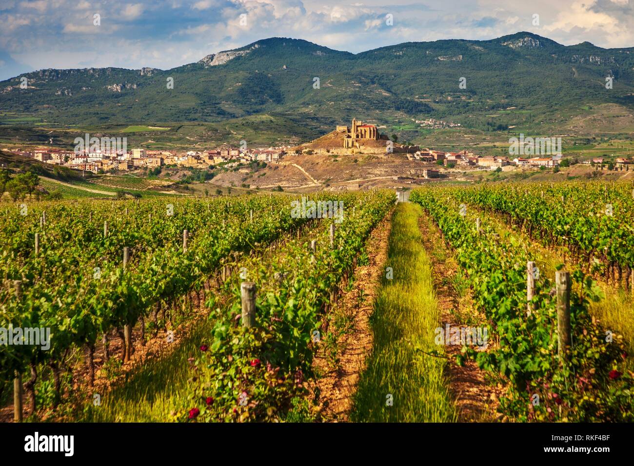 San Vicente de la Sonsierra Blick von Wein Museum Dinastia Vivanco Weinkeller. Briones. La Rioja. Spanien. Stockfoto